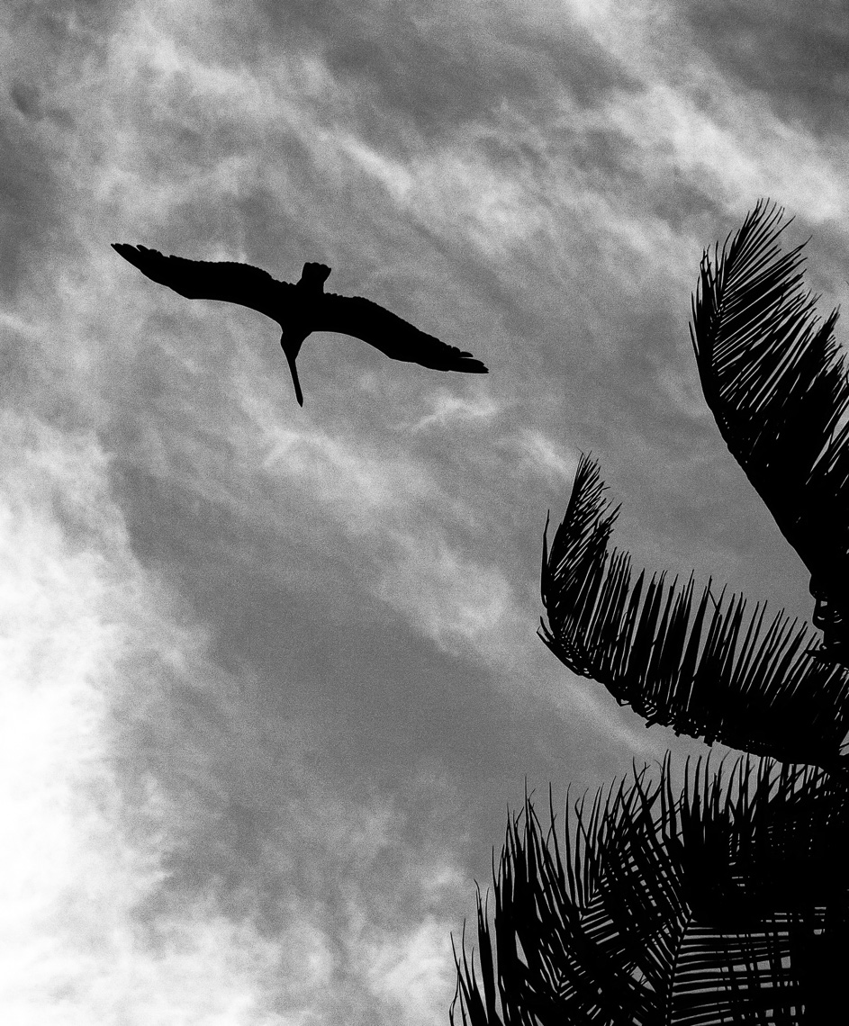 voyage-21-IMG_4999