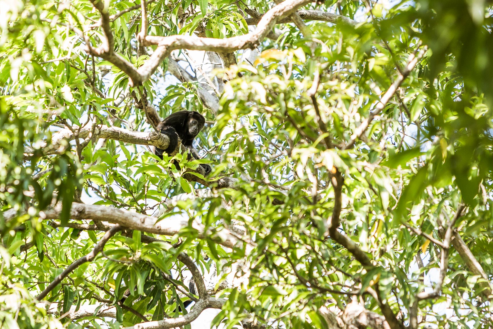 voyage-81-Costa-Rica-9768